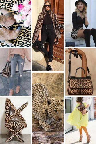 A CompreA Comprehensive Color Guide to Fall Fashion Trendshensive Color Guide to Fall Fashion Trends