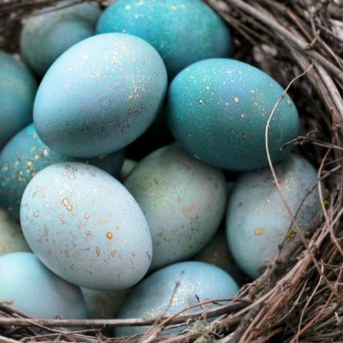Easter Eggs With Simple Patterns picture 1