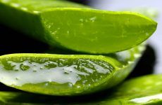 Benefits of Aloe Vera For Hair, Skin and Body