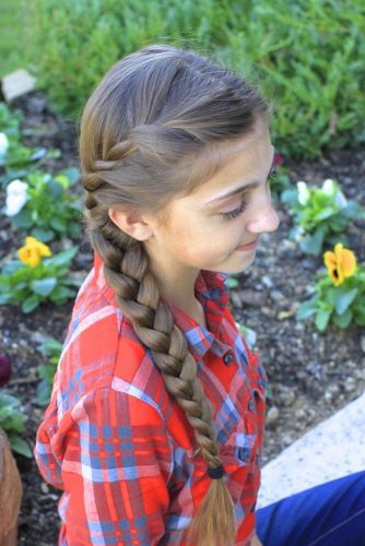 Twisted Side Braid picture4