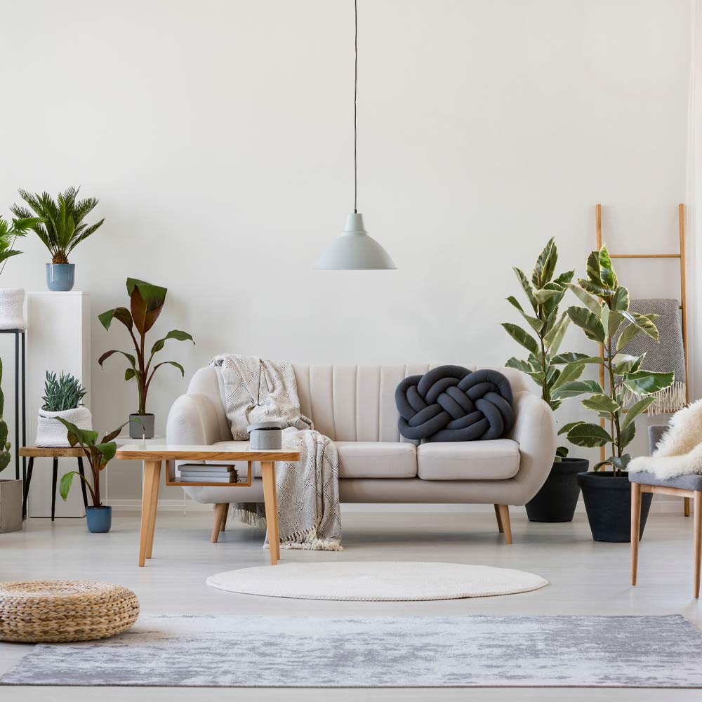 Living Room Decor with Plants