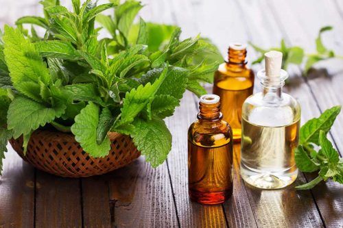How To Use A Tea Tree Oil For Acne Treatment