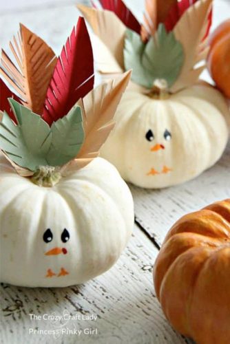Funny Thanksgiving Decorations for Kids picture 2