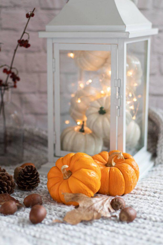 Fairy Thanksgiving Decor Idea with Lantern