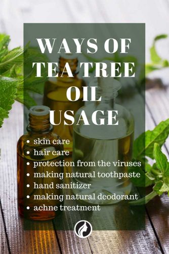 Amazing Benefits Of Using Tea Tree Oil