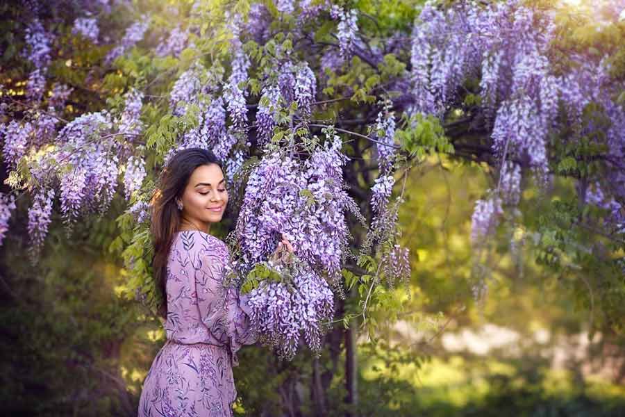 The Beauty Of The Lilac Color In The Real Life