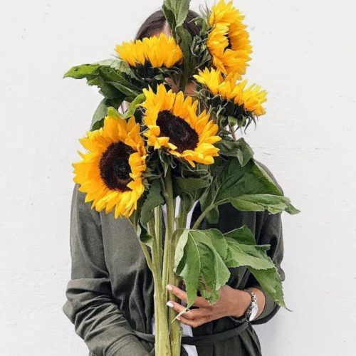 Funny Sunflowers For A Nice Day: Fantastic Bouquet #sunflower #nature #sunflowerbouquet