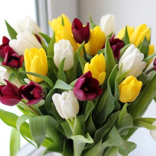 Tulip One Of The Best Yellow Flowers #tulips #yellowtulips #tulipbouquet