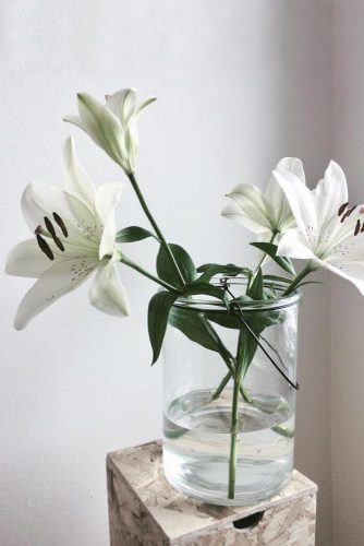 White Lilies Is Symbol Of Purity