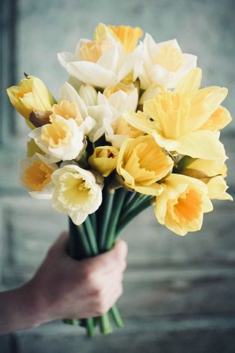 Daffodils Is Symbol Of Friendship