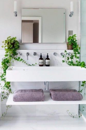 Humidity-Loving Plants: Some Green Accents #bathroompalnts