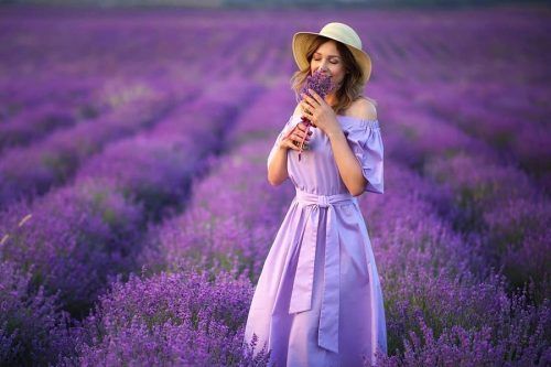 Ideas With A Lavender Color For Your Image And Life
