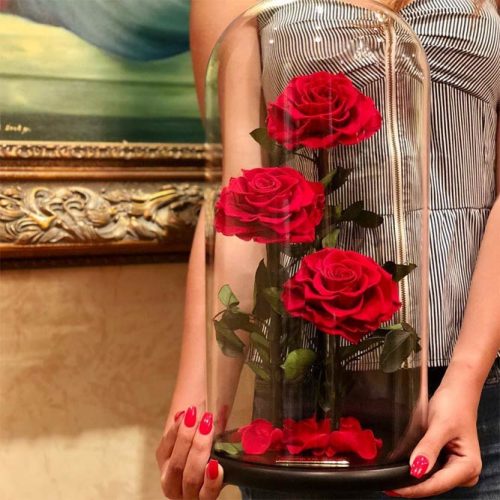 Flowers Gift Idea #redroses #flower