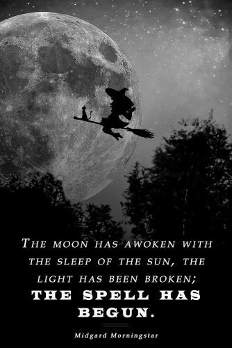 The moon has awoken with the sleep of the sun, the light has been broken; the spell has begun. #happyhalloween #halloween