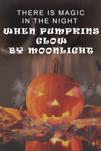 There is magic in the night when pumpkins glow by moonlight. #happyhalloween #funhalloweenquotes