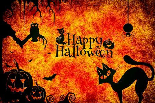 Happy Halloween Quotes That Ooze Holiday Vibes