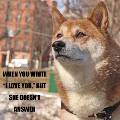 When you write I love you, but she does not answer #funnymemes #lovememes #funnypicture