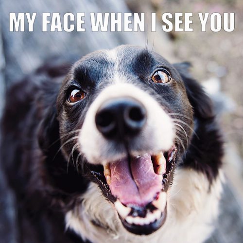 My face when I see you #funnymemes #lovememes #funnypicture