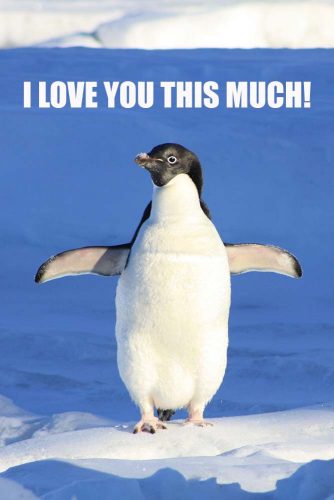 I love you this much #funnymemes #lovememes #funnypicture