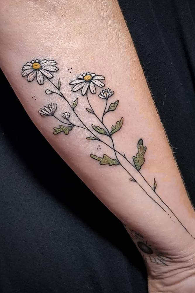 Tatuagem de flor de margarida #daisyflowertattoo