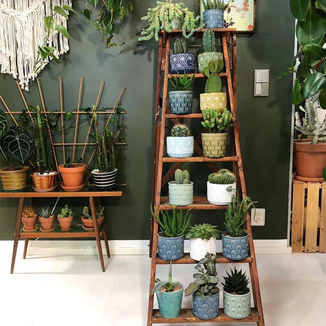 Ladder Wood Plant Stand #bigplantstand #woodladder