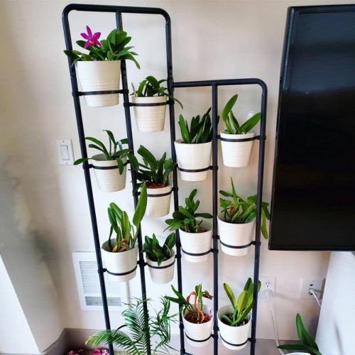 indoor plant stands