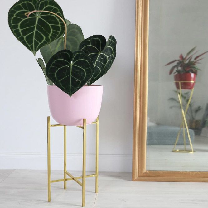 Simple Gold Metal Plant Stand #goldmetalplantstand