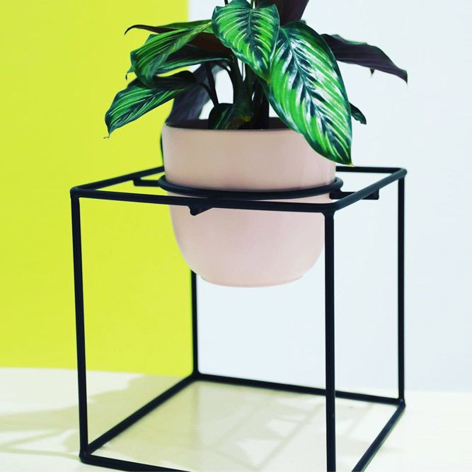 Cubic Metal Plant Stand #geometricplantstand