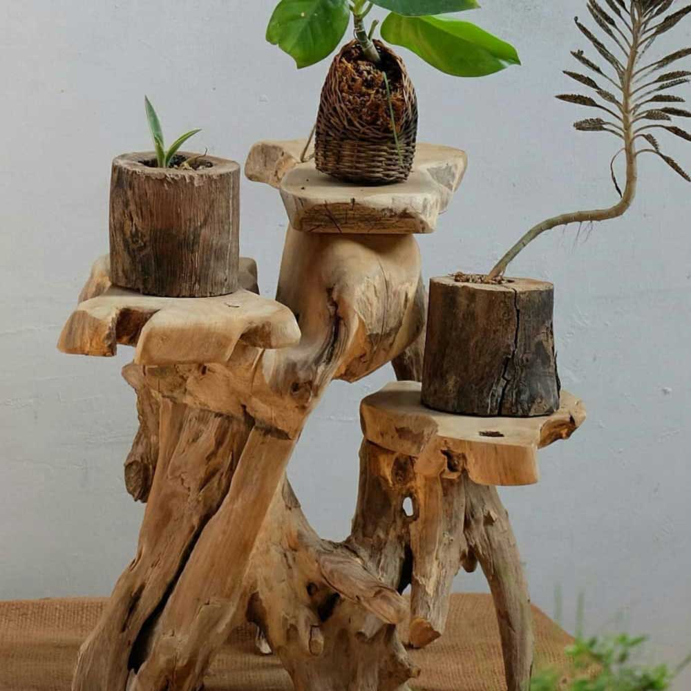 How do you put a plant in a room? #woodenplant