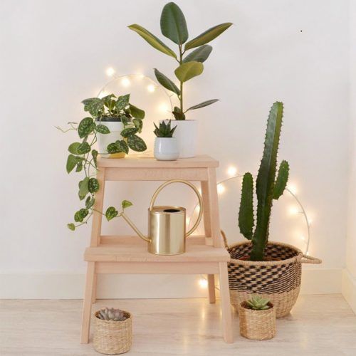 wooden plant stands indoor