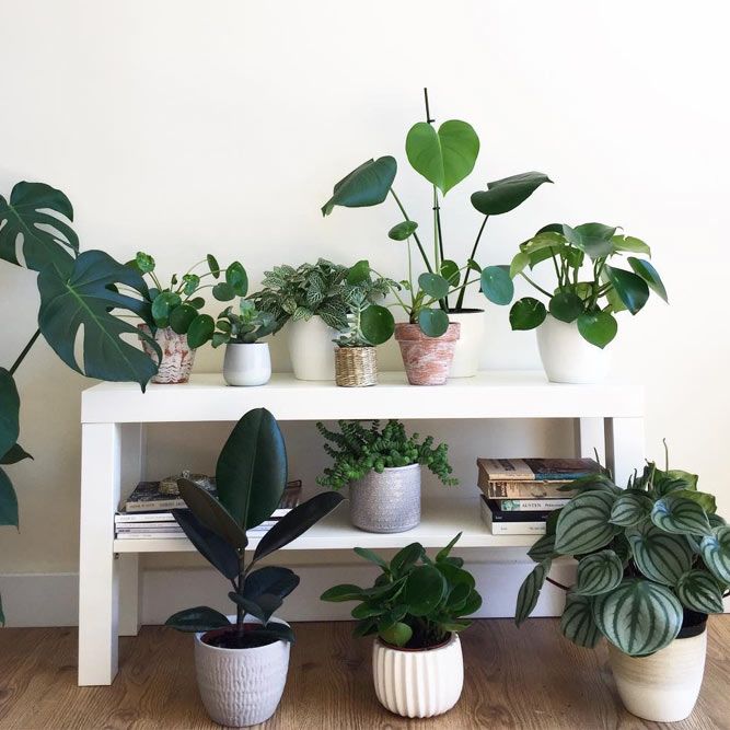 White Plant Table With Shelf #whitetable #shelves