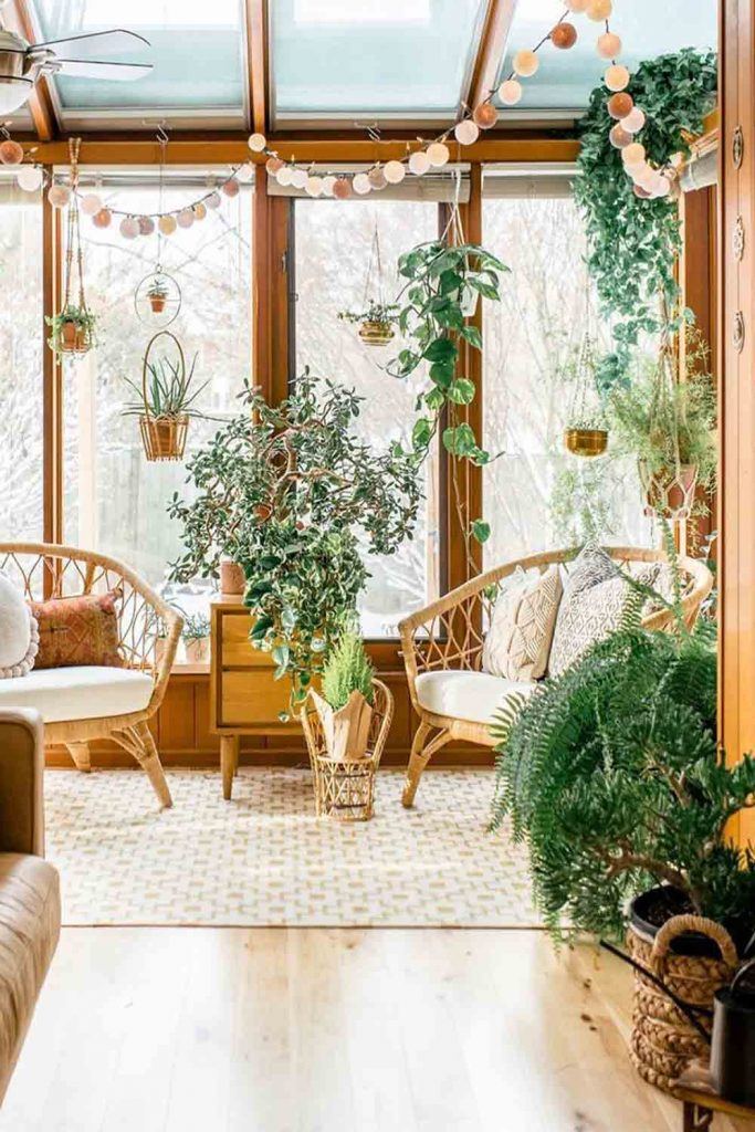 Can I Keep Plants In Sunroom? #plants