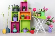 Exclusive Plant Stand Ideas To Introduce Into Your Interior