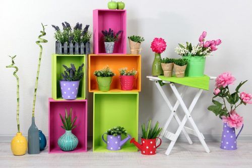 Exclusive Plant Stand Ideas To Introduce Into Your Interior