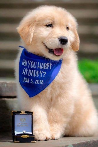 Cute Marriage Proposal Ideas With Friends, Family And Pets #romanticproposal #marriageproposalideas #love