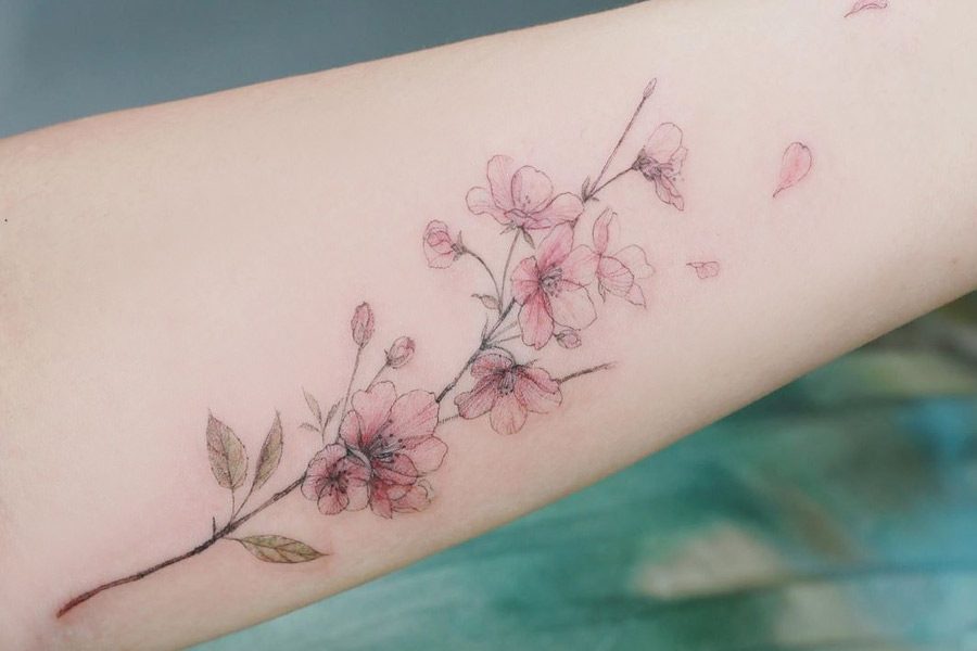 Pictures of cherry blossom tattoos