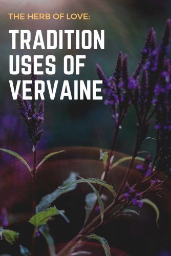 The Herb Of Love: Tradition Uses Of Vervaine #herbal #healthylife