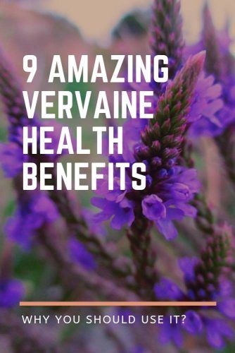 9 Amazing Vervain Health Benefits #herbal #healthylife