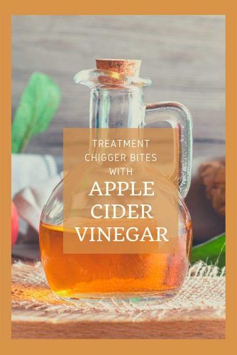 Chigger Bite Treatment With Apple Cider Vinegar #health #chiggers