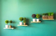 Incredible Wall Planter Pots For Devoted Plant Fans
