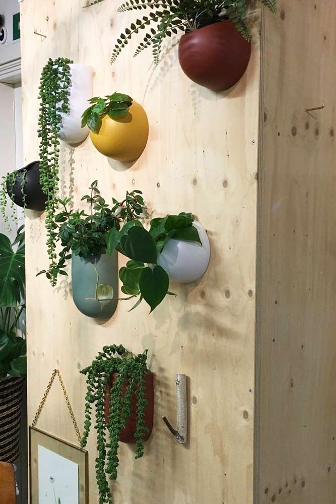 Colorful Wall Mounted Plants Pots #wallmountedpots