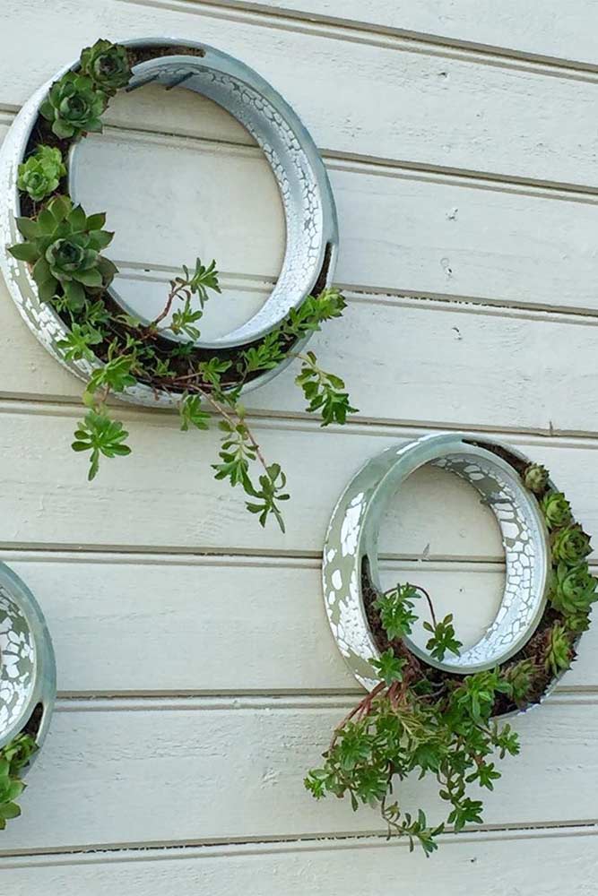 Ceramics Wall Rings Plants Pots #ceramicpots #outdoorpots