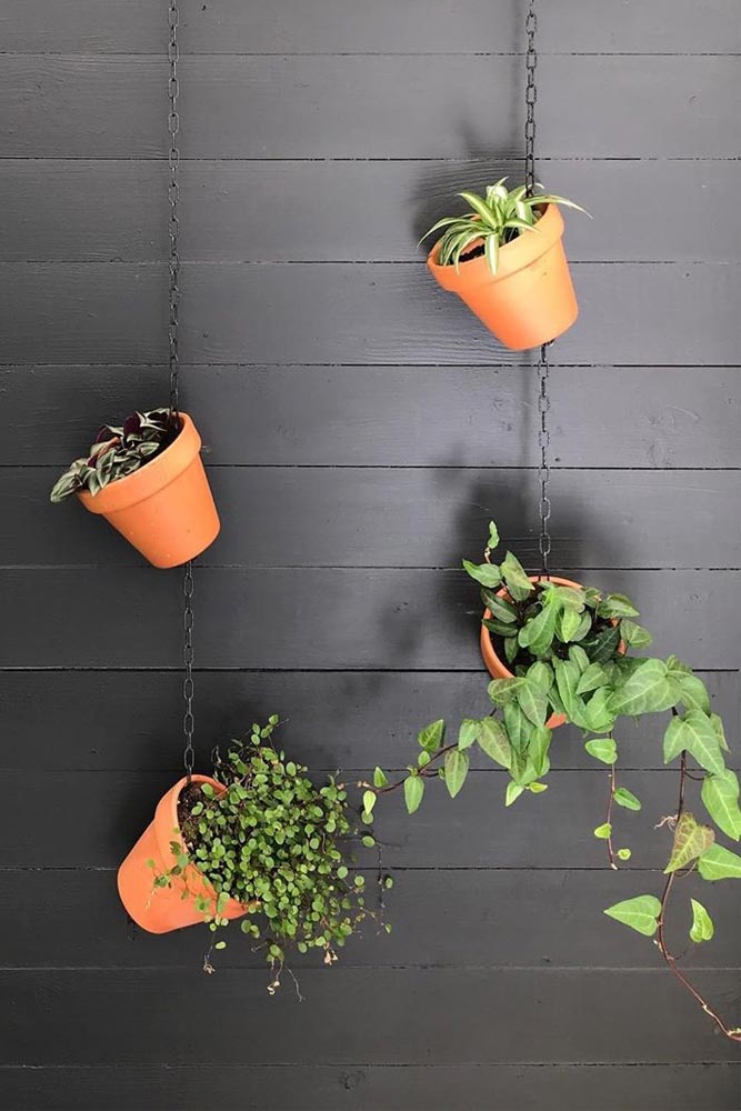 Rustic Wall Holder With Airplants Hanging Idea #airplants