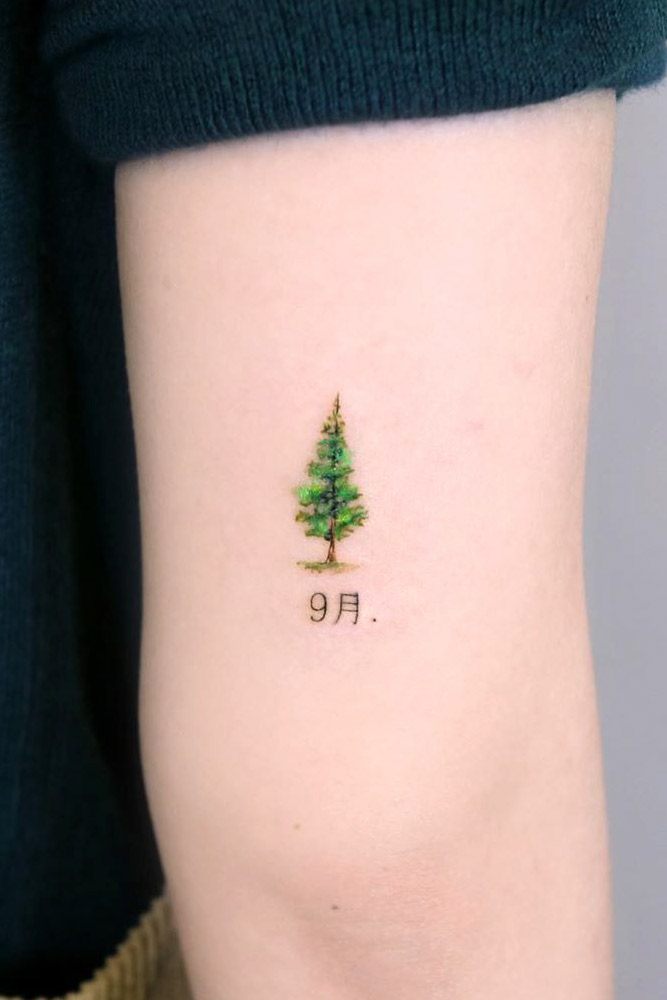 18 Beautiful Tree Tattoo Ideas  Styleoholic