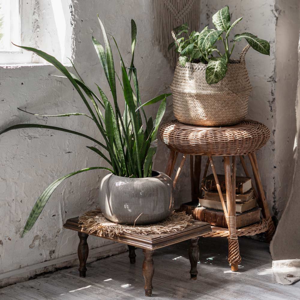 Vintage Rustic Plant Stands