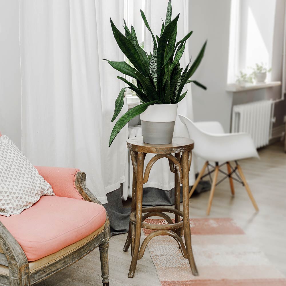 Retro Wood Plant Stand