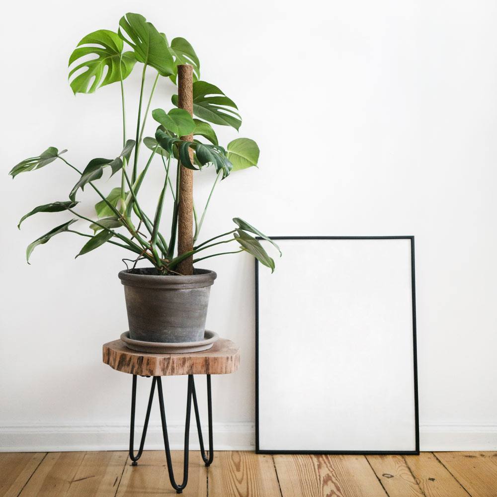 Wood Plant Stand with Metallic Holders