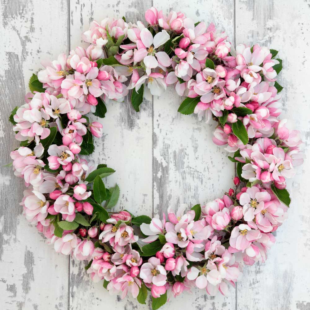 Spring Wreath with Pink Flowers