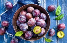 Extraordinary Plum Benefits You Need To Be Aware Of