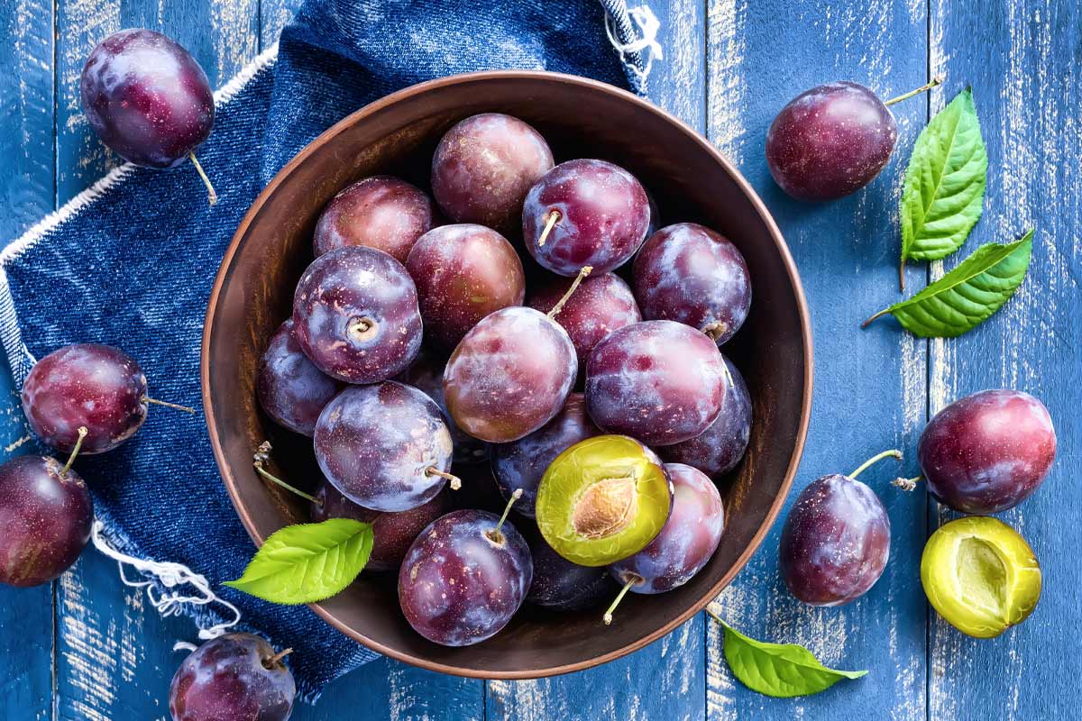 Extraordinary Plum Benefits You Need To Be Aware Of